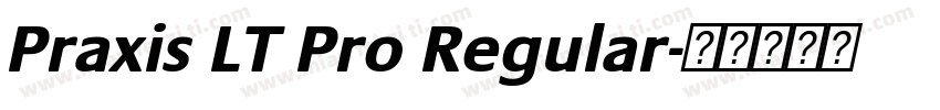 Praxis LT Pro Regular字体转换